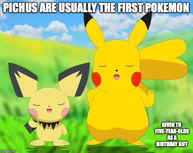 Pichu and Pikachu | PICHUS ARE USUALLY THE FIRST POKEMON; GIVEN TO FIVE-YEAR-OLDS AS A BIRTHDAY GIFT | image tagged in pichu,pikachu,memes,pokemon | made w/ Imgflip meme maker