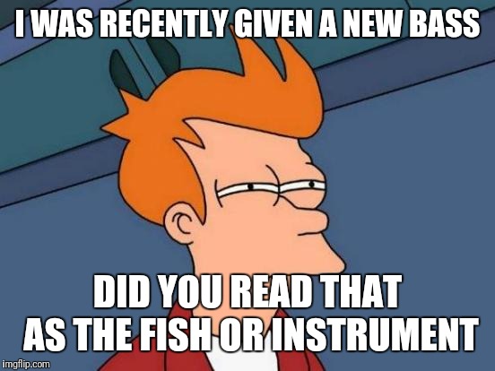 New Bass | I WAS RECENTLY GIVEN A NEW BASS; DID YOU READ THAT AS THE FISH OR INSTRUMENT | image tagged in memes,futurama fry | made w/ Imgflip meme maker