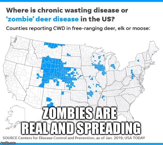 ZOMBIES ARE REAL AND SPREADING | image tagged in zombies | made w/ Imgflip meme maker