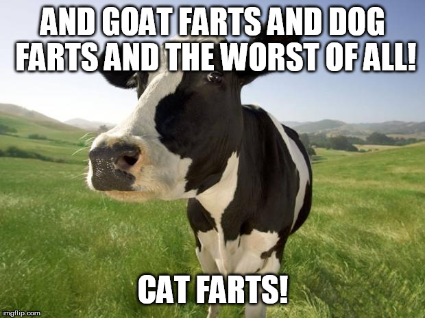 cow | AND GOAT FARTS AND DOG FARTS AND THE WORST OF ALL! CAT FARTS! | image tagged in cow | made w/ Imgflip meme maker