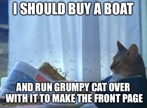 I Should Buy A Boat Cat |  I SHOULD BUY A BOAT; AND RUN GRUMPY CAT OVER WITH IT TO MAKE THE FRONT PAGE | image tagged in memes,i should buy a boat cat | made w/ Imgflip meme maker