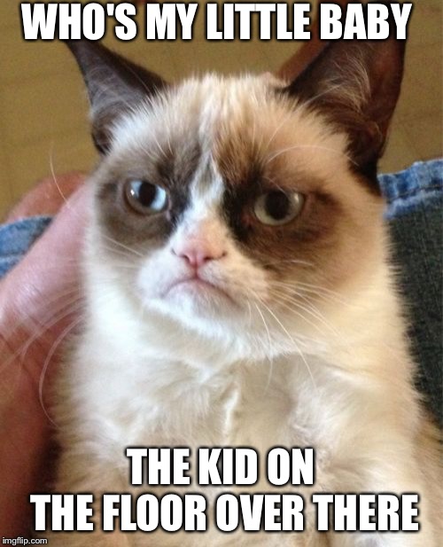Grumpy Cat | WHO'S MY LITTLE BABY; THE KID ON THE FLOOR OVER THERE | image tagged in memes,grumpy cat | made w/ Imgflip meme maker