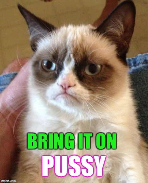 Grumpy Cat Meme | BRING IT ON PUSSY | image tagged in memes,grumpy cat | made w/ Imgflip meme maker