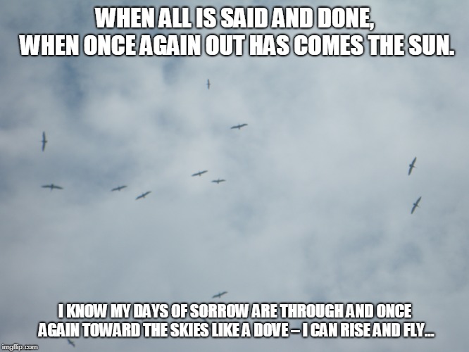 Like a Dove | WHEN ALL IS SAID AND DONE, WHEN ONCE AGAIN OUT HAS COMES THE SUN. I KNOW MY DAYS OF SORROW ARE THROUGH AND ONCE AGAIN TOWARD THE SKIES LIKE A DOVE – I CAN RISE AND FLY… | image tagged in the sun,like a dove,the sky,flying | made w/ Imgflip meme maker
