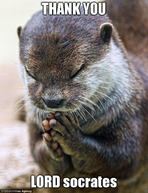 Thank you Lord Otter | THANK YOU LORD socrates | image tagged in thank you lord otter | made w/ Imgflip meme maker