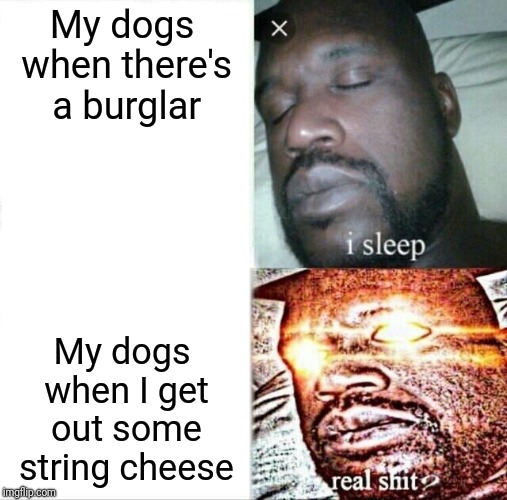Put some of that in someone's shirt when they're asleep | My dogs when there's a burglar; My dogs when I get out some string cheese | image tagged in memes,sleeping shaq | made w/ Imgflip meme maker