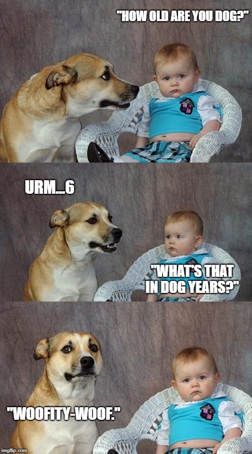 Dad Joke Dog Meme | "HOW OLD ARE YOU DOG?"; URM...6; "WHAT'S THAT IN DOG YEARS?"; "WOOFITY-WOOF." | image tagged in memes,dad joke dog | made w/ Imgflip meme maker