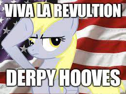 Patriotic Derpy Hooves | VIVA LA REVULTION; DERPY HOOVES | image tagged in patriotic derpy hooves | made w/ Imgflip meme maker