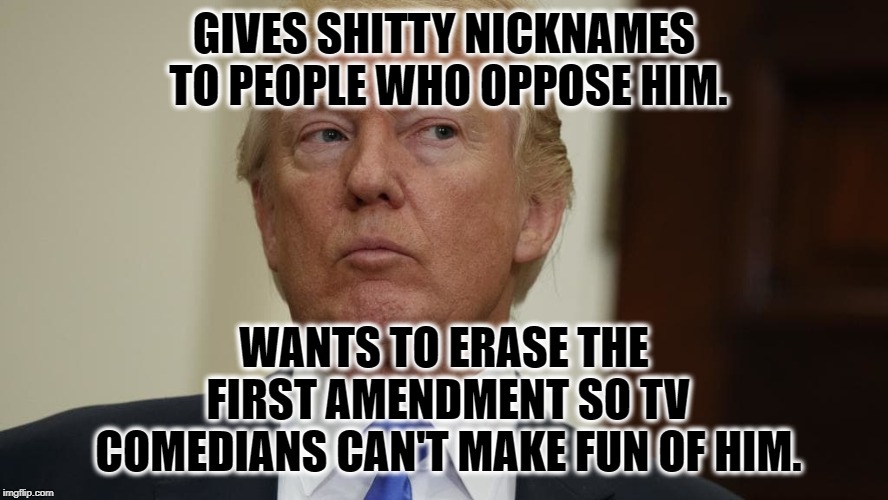 Thin-Skinned Imbecile | GIVES SHITTY NICKNAMES TO PEOPLE WHO OPPOSE HIM. WANTS TO ERASE THE FIRST AMENDMENT SO TV COMEDIANS CAN'T MAKE FUN OF HIM. | image tagged in donald trump,bully,constitution,alec baldwin,first amendment,traitor | made w/ Imgflip meme maker