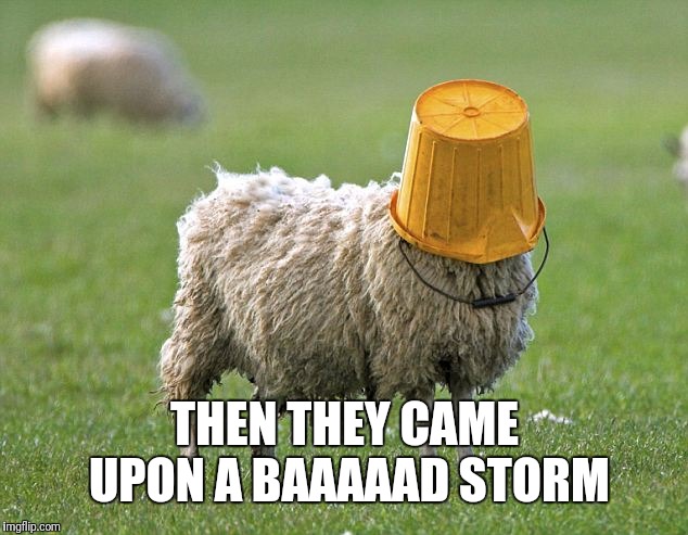 stupid sheep | THEN THEY CAME UPON A BAAAAAD STORM | image tagged in stupid sheep | made w/ Imgflip meme maker