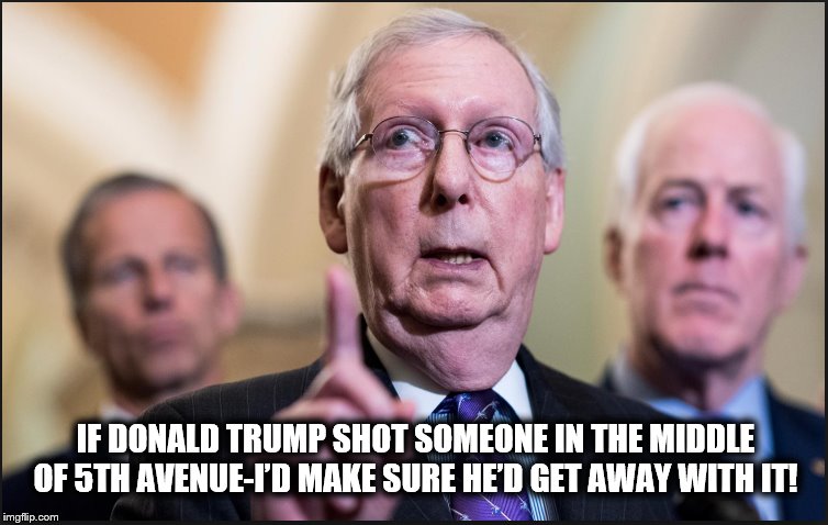THE AWFUL TRUTH | IF DONALD TRUMP SHOT SOMEONE IN THE MIDDLE OF 5TH AVENUE-I’D MAKE SURE HE’D GET AWAY WITH IT! | image tagged in mitch mcconnell,donald trump,crooked,american politics,dangerous | made w/ Imgflip meme maker