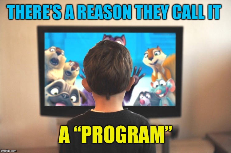 THERE’S A REASON THEY CALL IT A “PROGRAM” | made w/ Imgflip meme maker