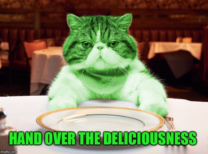 RayCat Hungry | HAND OVER THE DELICIOUSNESS | image tagged in raycat hungry | made w/ Imgflip meme maker