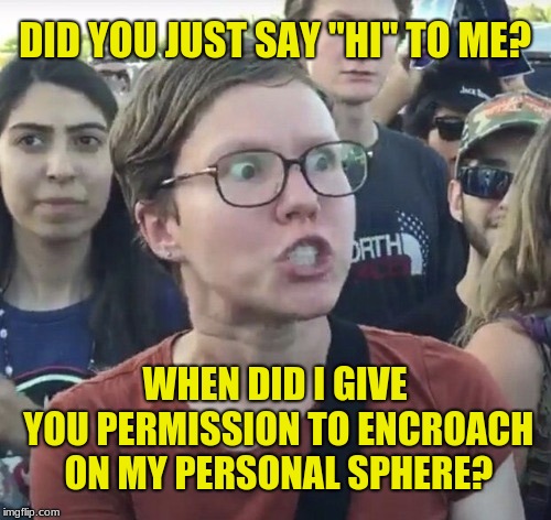 Triggered feminist | DID YOU JUST SAY "HI" TO ME? WHEN DID I GIVE YOU PERMISSION TO ENCROACH ON MY PERSONAL SPHERE? | image tagged in triggered feminist | made w/ Imgflip meme maker