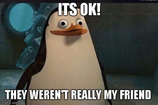 Madagascar penguin | ITS OK! THEY WEREN'T REALLY MY FRIEND | image tagged in madagascar penguin | made w/ Imgflip meme maker