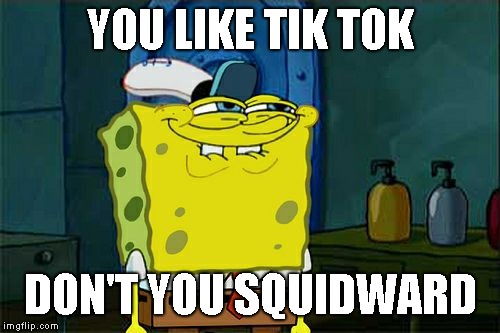 REEEEEEEEEEE | YOU LIKE TIK TOK; DON'T YOU SQUIDWARD | image tagged in memes,dont you squidward,tik tok | made w/ Imgflip meme maker