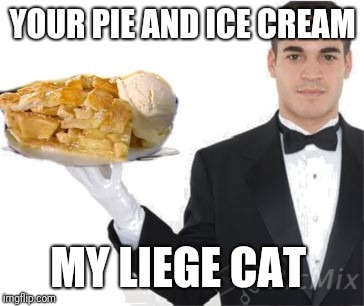 YOUR PIE AND ICE CREAM MY LIEGE CAT | made w/ Imgflip meme maker