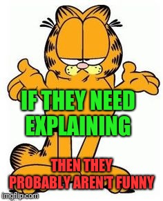 Garfield shrug | IF THEY NEED EXPLAINING THEN THEY PROBABLY AREN'T FUNNY | image tagged in garfield shrug | made w/ Imgflip meme maker