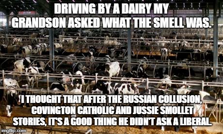 Did you smell that? | DRIVING BY A DAIRY MY GRANDSON ASKED WHAT THE SMELL WAS. I THOUGHT THAT AFTER THE RUSSIAN COLLUSION, COVINGTON CATHOLIC AND JUSSIE SMOLLET STORIES, IT'S A GOOD THING HE DIDN'T ASK A LIBERAL. | image tagged in jussie smollett,maga,trump russia collusion,cnn fake news,liberal bias | made w/ Imgflip meme maker