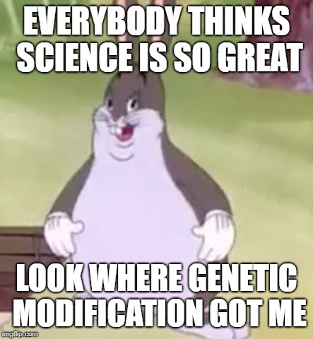 Big Chungus | EVERYBODY THINKS SCIENCE IS SO GREAT; LOOK WHERE GENETIC MODIFICATION GOT ME | image tagged in big chungus | made w/ Imgflip meme maker