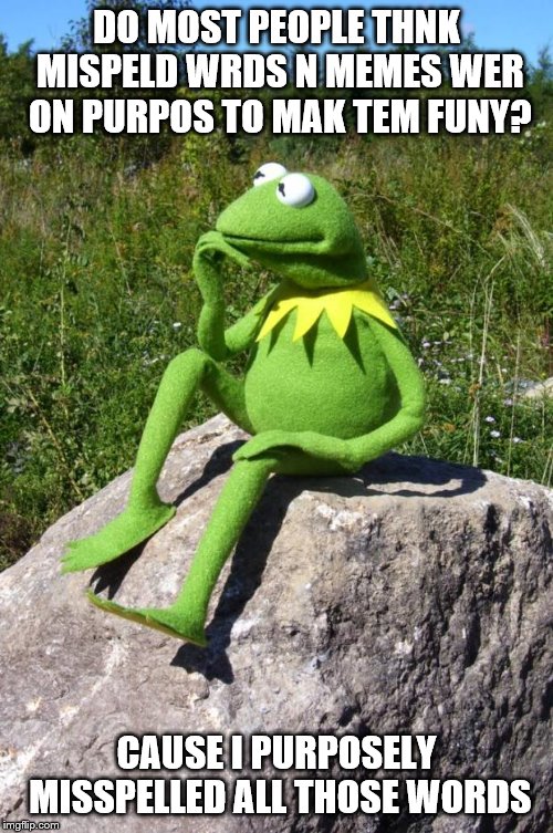 Kermit-thinking |  DO MOST PEOPLE THNK MISPELD WRDS N MEMES WER ON PURPOS TO MAK TEM FUNY? CAUSE I PURPOSELY MISSPELLED ALL THOSE WORDS | image tagged in kermit-thinking | made w/ Imgflip meme maker