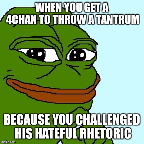 pepe | WHEN YOU GET A 4CHAN TO THROW A TANTRUM; BECAUSE YOU CHALLENGED HIS HATEFUL RHETORIC | image tagged in pepe | made w/ Imgflip meme maker