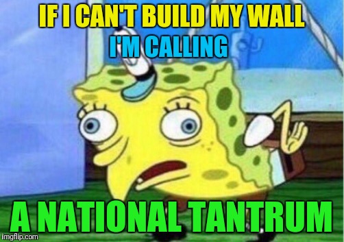 Emergency Tantrum | IF I CAN'T BUILD MY WALL; I'M CALLING; A NATIONAL TANTRUM | image tagged in memes,mocking spongebob,trump wall,national emergency | made w/ Imgflip meme maker