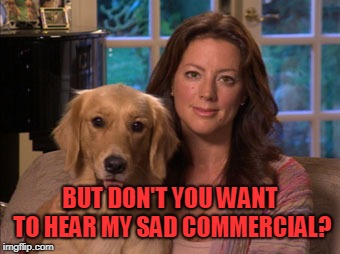 Sarahey Mclaughlin aspca commercial  | BUT DON'T YOU WANT TO HEAR MY SAD COMMERCIAL? | image tagged in sarahey mclaughlin aspca commercial | made w/ Imgflip meme maker