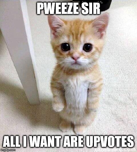 Cute Cat Meme | PWEEZE SIR; ALL I WANT ARE UPVOTES | image tagged in memes,cute cat | made w/ Imgflip meme maker