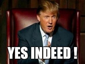 Donald Trump | YES INDEED ! | image tagged in donald trump | made w/ Imgflip meme maker