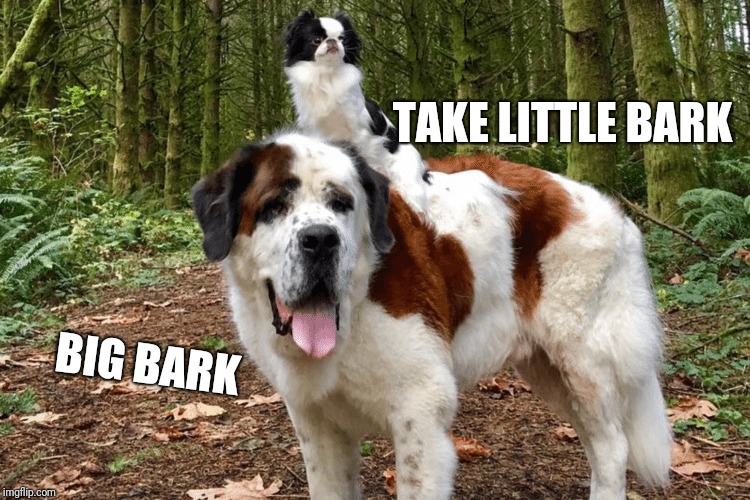 TAKE LITTLE BARK BIG BARK | made w/ Imgflip meme maker
