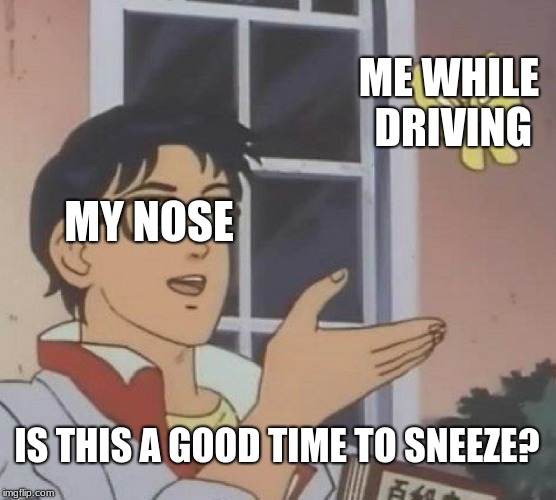 Is This A Pigeon | ME WHILE DRIVING; MY NOSE; IS THIS A GOOD TIME TO SNEEZE? | image tagged in memes,is this a pigeon | made w/ Imgflip meme maker
