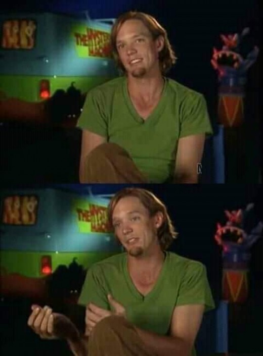 Shagy recuerdo que.. Max Blank Meme Template