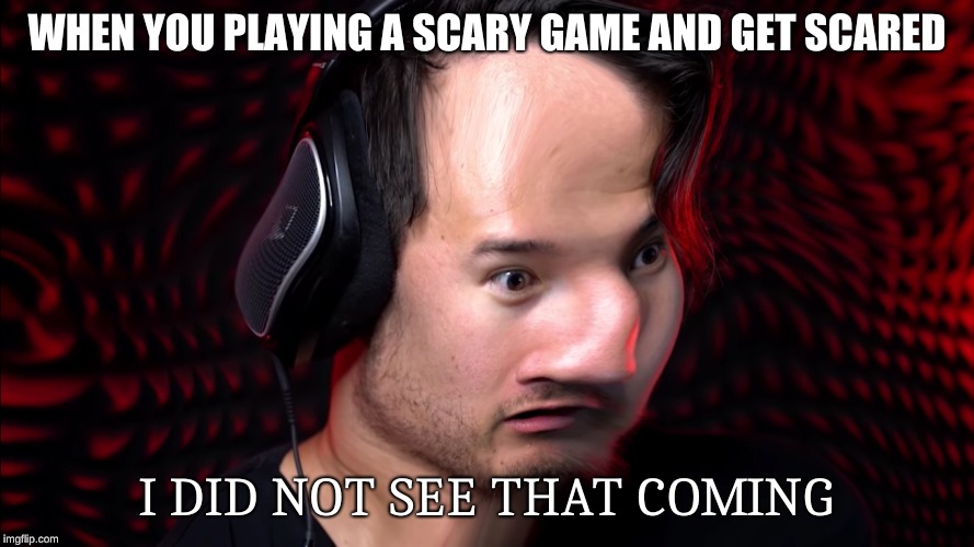 WHEN YOU PLAYING A SCARY GAME AND GET SCARED; I DID NOT SEE THAT COMING | image tagged in surprised markimoo | made w/ Imgflip meme maker