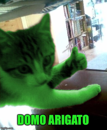 thumbs up RayCat | DOMO ARIGATO | image tagged in thumbs up raycat | made w/ Imgflip meme maker