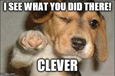 good job dog | I SEE WHAT YOU DID THERE! CLEVER | image tagged in good job dog | made w/ Imgflip meme maker