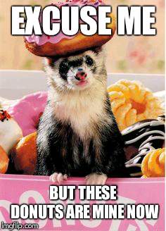 Donut Ferret | EXCUSE ME; BUT THESE DONUTS ARE MINE NOW | image tagged in donut ferret | made w/ Imgflip meme maker