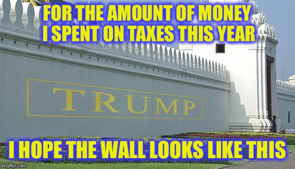 FOR THE AMOUNT OF MONEY I SPENT ON TAXES THIS YEAR; I HOPE THE WALL LOOKS LIKE THIS | image tagged in trump wall | made w/ Imgflip meme maker