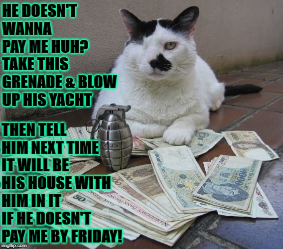 HE DOESN'T WANNA PAY ME HUH? TAKE THIS GRENADE & BLOW UP HIS YACHT; THEN TELL HIM NEXT TIME IT WILL BE HIS HOUSE WITH HIM IN IT IF HE DOESN'T PAY ME BY FRIDAY! | image tagged in one eyed mob cat | made w/ Imgflip meme maker