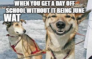 Original Stoner Dog Meme | WHEN YOU GET A DAY OFF SCHOOL WITHOUT IT BEING JUNE; WAT | image tagged in memes,original stoner dog | made w/ Imgflip meme maker