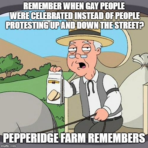 Pepperidge Farm Remembers | REMEMBER WHEN GAY PEOPLE WERE CELEBRATED INSTEAD OF PEOPLE PROTESTING UP AND DOWN THE STREET? PEPPERIDGE FARM REMEMBERS | image tagged in memes,pepperidge farm remembers | made w/ Imgflip meme maker