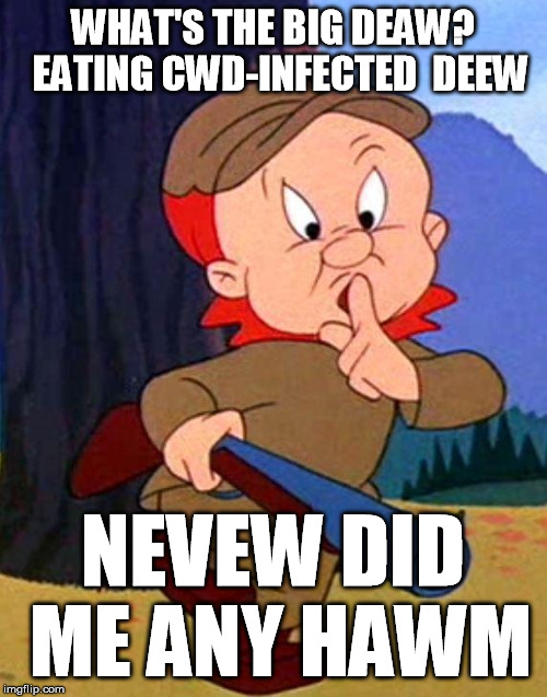 Elmer Fudd | WHAT'S THE BIG DEAW?  EATING CWD-INFECTED  DEEW NEVEW DID ME ANY HAWM | image tagged in elmer fudd | made w/ Imgflip meme maker