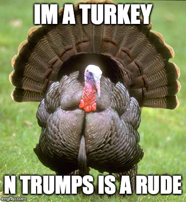 The Turmpkey | IM A TURKEY; N TRUMPS IS A RUDE | image tagged in memes,turkey,donald trump | made w/ Imgflip meme maker