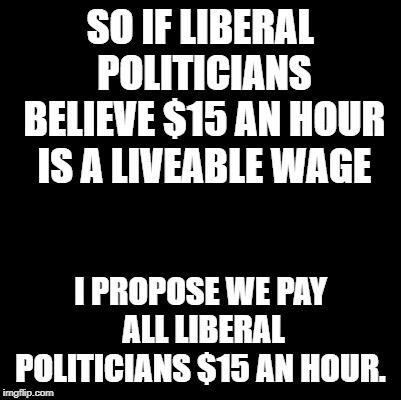 Anything more, and they are just being greedy Capitalists | SO IF LIBERAL POLITICIANS BELIEVE $15 AN HOUR IS A LIVEABLE WAGE; I PROPOSE WE PAY ALL LIBERAL POLITICIANS $15 AN HOUR. | image tagged in blank,politics,liberals,liberal hypocrisy,liberal vs conservative,stupid liberals | made w/ Imgflip meme maker