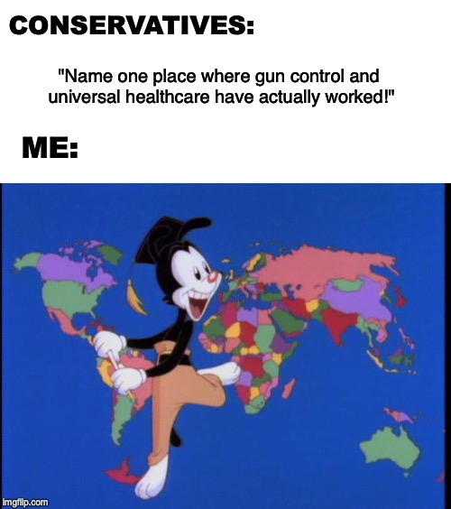We're the only first world country that still deals with these problems. | CONSERVATIVES:; "Name one place where gun control and universal healthcare have actually worked!"; ME: | image tagged in gun control,2nd amendment,animaniacs,healthcare | made w/ Imgflip meme maker