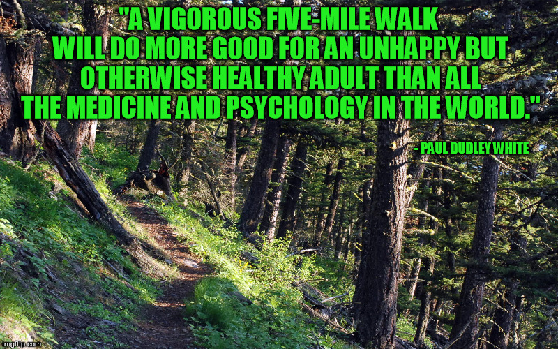 A useful reminder for many who struggle | "A VIGOROUS FIVE-MILE WALK WILL DO MORE GOOD FOR AN UNHAPPY BUT OTHERWISE HEALTHY ADULT THAN ALL THE MEDICINE AND PSYCHOLOGY IN THE WORLD."; - PAUL DUDLEY WHITE | image tagged in walking,mental health,psychology,depression,blues,medicine | made w/ Imgflip meme maker