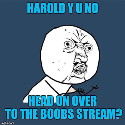 Y U No Meme | HAROLD Y U NO HEAD ON OVER TO THE BOOBS STREAM? | image tagged in memes,y u no | made w/ Imgflip meme maker
