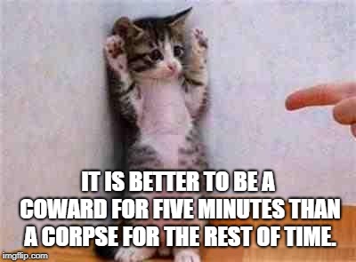 Coward Cat | IT IS BETTER TO BE A COWARD FOR FIVE MINUTES THAN A CORPSE FOR THE REST OF TIME. | image tagged in coward cat | made w/ Imgflip meme maker