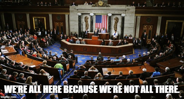 US Congress | WE’RE ALL HERE BECAUSE WE’RE NOT ALL THERE. | image tagged in us congress | made w/ Imgflip meme maker