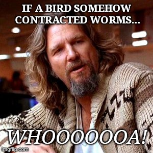 Confused Lebowski | IF A BIRD SOMEHOW CONTRACTED WORMS... WHOOOOOOA! | image tagged in memes,confused lebowski | made w/ Imgflip meme maker